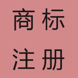 上海企業(yè)怎么辦理進出口權(quán) 代辦進出口權(quán)